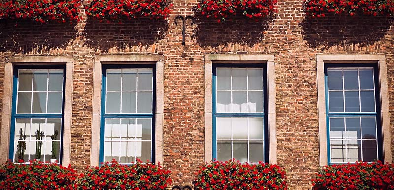 Hauswand mit Fenstern und Blumen in Hamburg Hamm